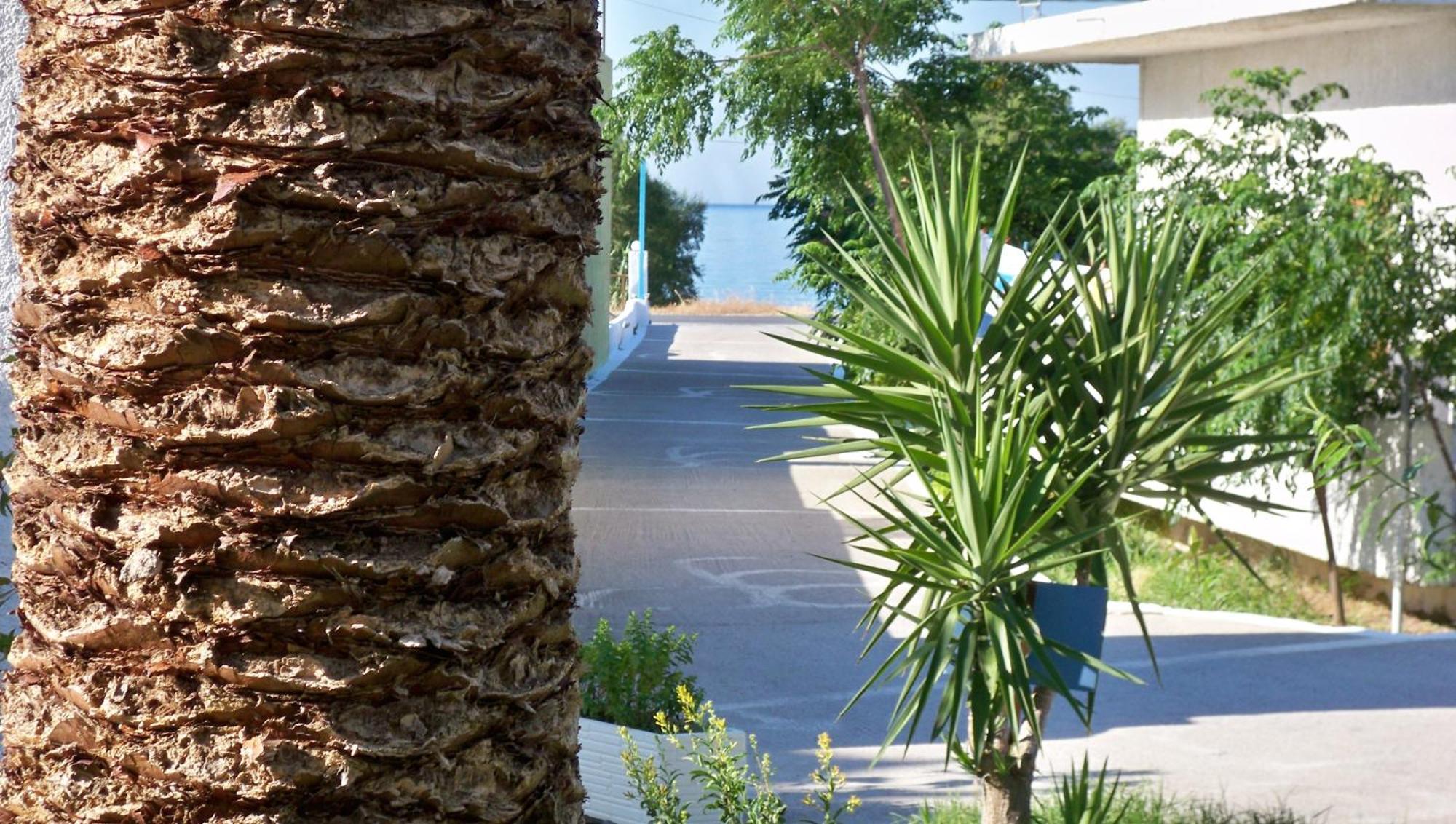 Aphrodite Samos Suites มาราโธคามปอส ภายนอก รูปภาพ