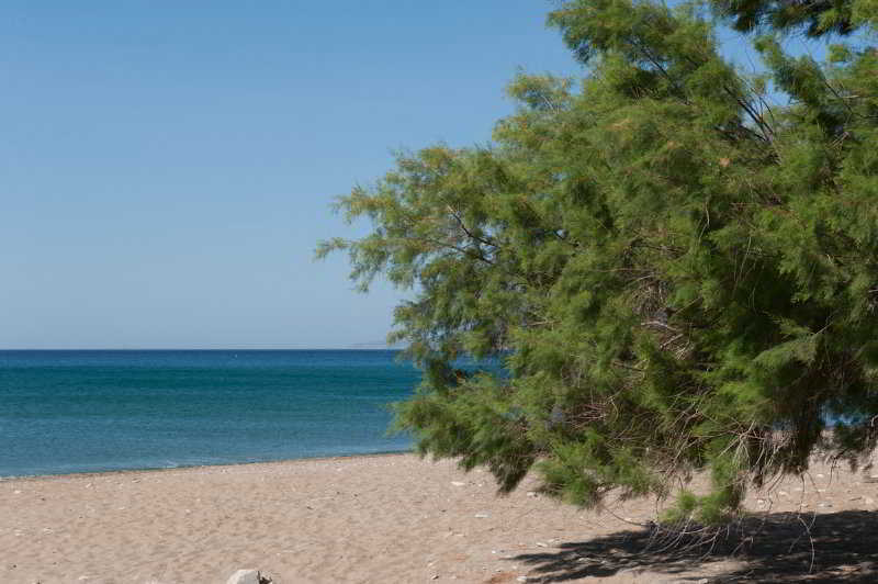 Aphrodite Samos Suites มาราโธคามปอส ภายนอก รูปภาพ