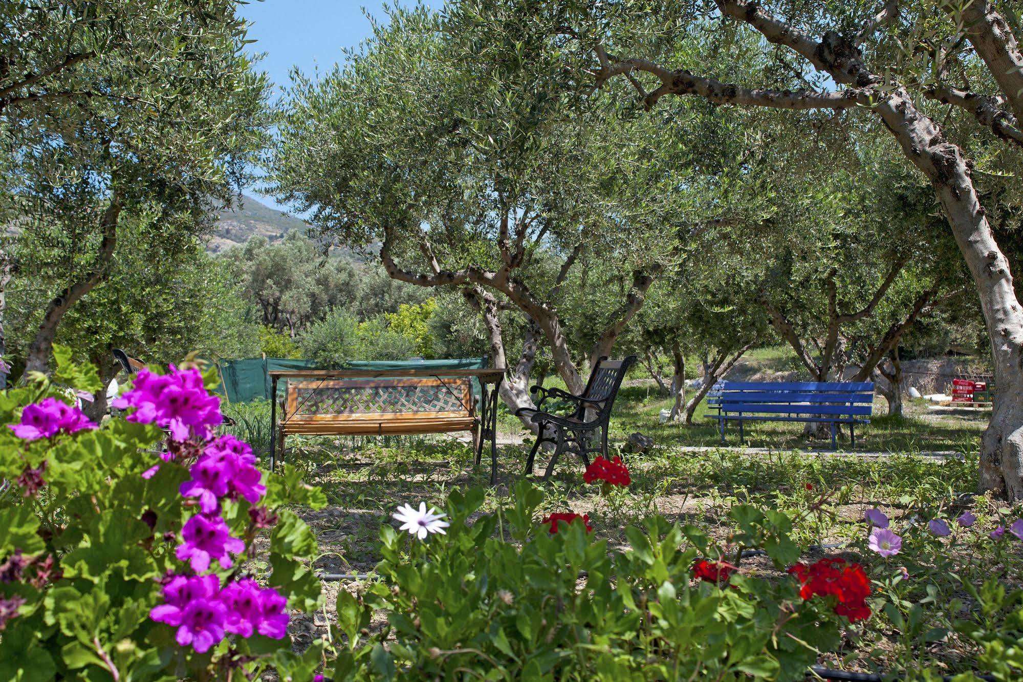 Aphrodite Samos Suites มาราโธคามปอส ภายนอก รูปภาพ